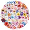 100 Pieces Colorful Flower Stickers for Laptop,Aesthetic Lifelike Clear Flowers Decals for Water Bottles,Journals,Spring Party Favors Gifts Waterproof Self-Adhesive Transparent PET Sticker (Flower) view 1