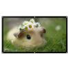 16:9 HD Projection Screen, Foldable Anti-Crease Outdoor Projector Screen with Carry Bag, Hooks and Ropes(80inch(176x100cm)) view 1