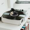 sdroceRyaM Record Player Decor Turntable Accessory Cartoon Decoration Turntable Weight Clamp for Vibration Damping LP Disc (Style A) view 4