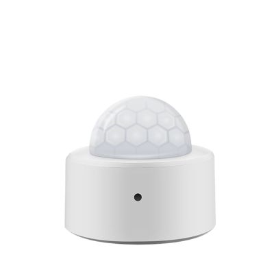 2-in-1 Motion Detector Infrared Security Sensor Smart Detector(Type 1)
