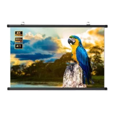 4K HD Wall-Mounted Projection Screen, 60 72 84 inch 4:3 16:9 Manual Pull Down Movie Screen for Home Theater, Open-Air Cinema, Camping(60" (4:3))
