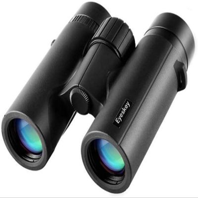 832 Binoculars, Portable HD Nitrogen-Filled Waterproof Low-Light NightTravel Viewing Concert Concert Roof Prism