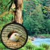 2050 Waterproof Binoculars, HD Begos Ranging Telescope Paul Prism Outdoor Viewing Mirror view 2