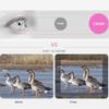 2050 Binoculars, Portable Wide AngleIPX8 Waterproof Binoculars Vibration Protection for Birds Watching Hunti view 2