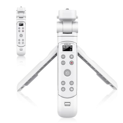 AODELAN for Sony Camera Tripod with Rechargeable Wireless Shutter Release,Shooting Grip Remote Control Handle for ZV-E10,ZV-1F,ZV-1,A7C,A7III,A7R IV,A6100,A6400,A6700,FX30,A9 II,DSC-RX0 II(White)