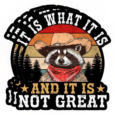 3 Pcs It is What It is Sticker and It is Not Great Funny Raccoon Meme Mental Health Sarcastic Waterproof Vinyl Sticker for Water Bottle Tumbler Phone Case Laptop Cars Gift for Men Women (3 inches)