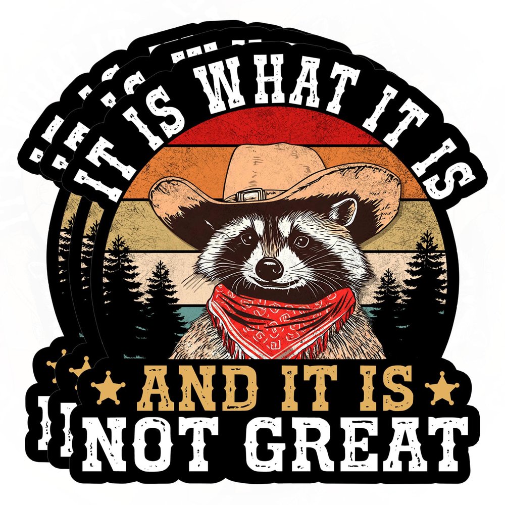 3 Pcs It is What It is Sticker and It is Not Great Funny Raccoon Meme Mental Health Sarcastic Waterproof Vinyl Sticker for Water Bottle Tumbler Phone Case Laptop Cars Gift for Men Women (3 inches)