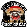 3 Pcs It is What It is Sticker and It is Not Great Funny Raccoon Meme Mental Health Sarcastic Waterproof Vinyl Sticker for Water Bottle Tumbler Phone Case Laptop Cars Gift for Men Women (3 inches) view 1