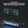 ciciglow 9 in 1 Docking Station, Handheld Gaming Console Dock with Dual Cooling Fan RGB Hub, for Steam Deck, for Steam Deck OLED, for ROG Ally, for ROG Ally X, for Legion Go view 2