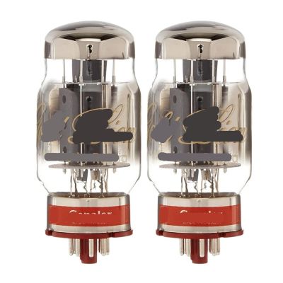 2 Pcs KT88 / 6550 Vacuum Tubes -