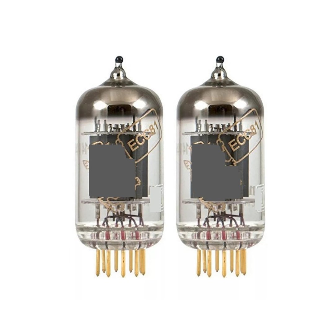 Gain Matched Pair (2) 12AT7 ECC81 Vacuum Tubes -