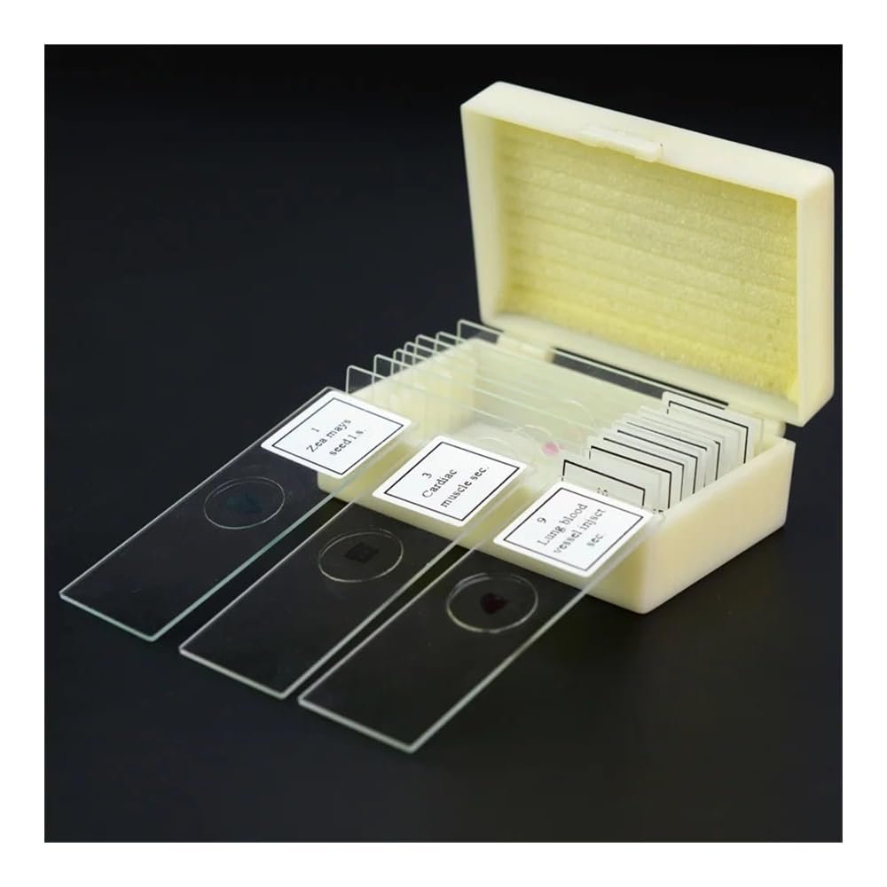 LJSM Lab Microscope Slides 10 Pieces Prepared Microscope Slides for Student Education Studying Microscope Parts