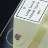 LJSM Lab Microscope Slides 10 Pieces Prepared Microscope Slides for Student Education Studying Microscope Parts view 3