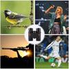 Compact Binoculars with Adults Kids, 8X32 HD Low Light NightBinocular for Bird Watching, Camping, Hunting, Sports, Trave view 4