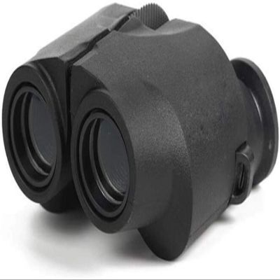 10X25 Portable Binoculars for Adults, Paul Clear Weak LightBinoculars for Birdwatching Hunting Hiking Tour Concert Patro