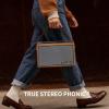 Blissbird X3 Retro Bluetooth Bookshelf Speakers, Portable Wireless Speaker for Home with Deep Bass, Stereo Loud Sound, Built-in 3.5mm AUX Input view 3