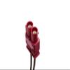 GM Genuine Parts 85642493 Black High Frequency Antenna view 3