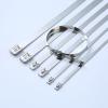 100 Pcs 304 Stainless Steel Cable Ties, 7.9MM Width Heavy Duty Self-Locking Zip Ties for Machinery, Vehicles, Farms & Outdoor Fences 7.9mm Width length200MM view 1