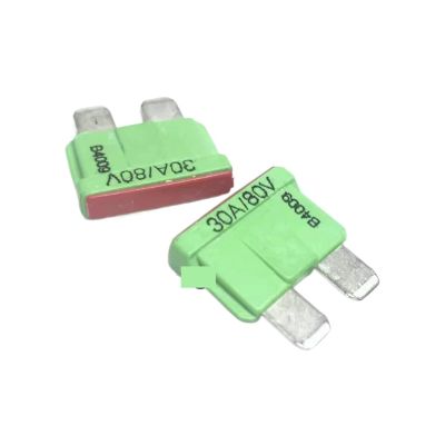 1pc Fuse 10A 20A 30A 80V 19X5X13.2mm(10A) (20A)