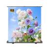 60" 72" 80" 92" Manual Pull Up HD Movie Screen, Adjustable Screen Height, Anti-Crease for Outdoor Indoor Theater Home Backyard(80 Inch) view 1