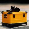 Aluminum Camera Trolley Case, 23 inches Orange Rolling Storage Box Large Carrying Toolbox with Pockets/Inner Dividers for Light Stands, Tripods, Telescopes view 1