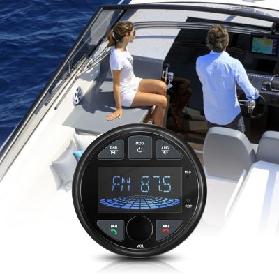 Waterproof Bluetooth Marine Stereo for Boat/Golf Cart/ATV/UTV/RV Headunit HD LCD Display AM/FM Tuner Radio Receiver EZoneTronics