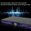 22-band stereo graphic equalizer with 10 preset effects to reduce noise and adjust low/mid/treble for studio, bar, stage view 2