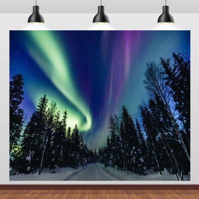 Loccor 6x4ft Fabric Winter Forest Northern Lights Backdrop Finland Winter Pine Tree Forest Colorful Aurora Borealis Background Xmas Party Decorations Photo Studio Props