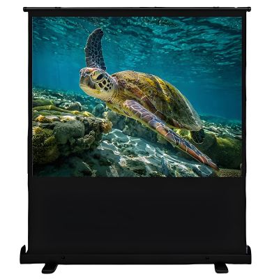 16:9 4K HD Manual Pull Movie Screen, Portable Anti-Glare Projector Screen with Height Adjustable, 168 Viewing Angle, Aluminum Case
