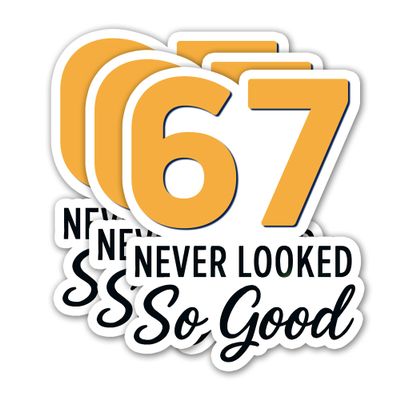 (3PCS) 67 Never Looked So Good Stickers Funny Six Seven Meme 6 7 Numbers Vinyl Decals Waterproof for Laptop, Water Bottle, Tumbler, Phone Case, Scrapbook, Size 3" x 2.5"