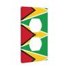 Flag of Guyana Double Sided Wall Plate Kit, Electrical Outlet Cover, Standard Size: 4.50 x 2.76 Inch view 2