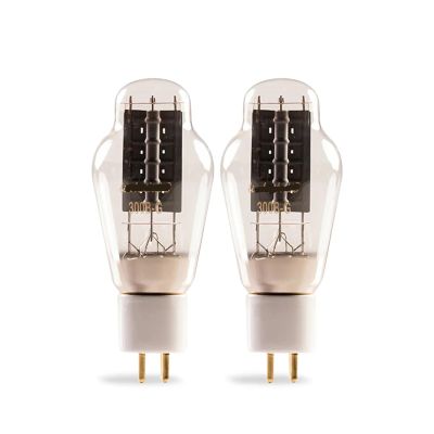 300B-G 300B Vacuum Tube Replaces WE300B 300B Tube Amplifier kit HiFi Audio Tube(2 pcs)