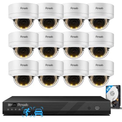 PANOOB 16 Channel Security Camera System, 12x 5MP Wired IK-10 Vandal Dome PoE Camera Outdoor, Human Vehicle Detection, Smart Color Night Vision, 2 Way Audio, NVR 4TB HDD, 24-7 Recording, PD54Y1216-5M