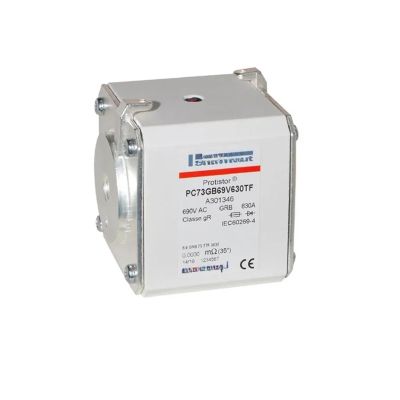 ZXHYUJMU PC73GB69V800TF D301717 PC73GB69V900TF S301638 PC73GB69V10CTF F301719 Fuse(PC73GB69V900TF)