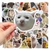 100pcs Cute Cat Stickers | Vinyl Waterproof Kawaii Cat Waterproof Stickers, Luggage, Water Bottles and Decorations view 4