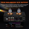 HiFi Vinyl Tube Phono Amplifier, Audiophile Preamplifier, ECC83 Tube, L/R Stereo, MM Phono/RCA Input, RCA/XLR Output, with HPF Technology, for Home Audio view 4
