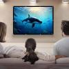 Polyester Outdoor Projector - Lightweight Projection Sheet, Tight Border Display | Foldable Viewing surfaces, Smooth Movie Canvas, with Scenario for Camping, Presentations, Family Enterta view 3