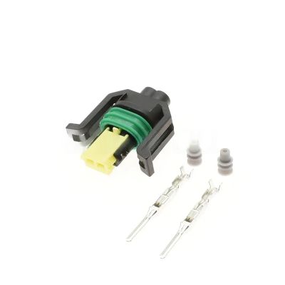 1 Set 2 Pin Automobile Fuel Injector Black Socket Water Proof Wiring Female Connector Sheath with Wire DJ7027YA-1.5-21(Male Connector Set)
