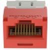 CJ688TGRD Pack of 5 Category 6 TX6 Plus Mini-Com UTP Jack Modules, Red, TG Style, Toolless, RJ45 Ethernet High Performance Network Module, T568A/T568B Wiring view 3
