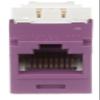 CJ688TGVL Pack of 24 Category 6 TX6 Plus Mini-Com UTP Jack Modules, Violet, TG Style, Toolless, RJ45 Ethernet High Performance Network Module, T568A/T568B Wiring view 3