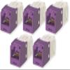 CJ688TGVL Pack of 5 Category 6 TX6 Plus Mini-Com UTP Jack Modules, Violet, TG Style, Toolless, RJ45 Ethernet High Performance Network Module, T568A/T568B Wiring view 1