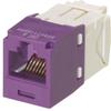 CJ688TGVL Category 6 TX6 Plus Mini-Com UTP Jack Modules, Violet, TG Style, Toolless, RJ45 Ethernet High Performance Network Module, T568A/T568B Wiring view 1