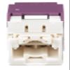 CJ688TGVL Category 6 TX6 Plus Mini-Com UTP Jack Modules, Violet, TG Style, Toolless, RJ45 Ethernet High Performance Network Module, T568A/T568B Wiring view 4