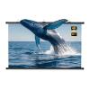 60" 72" 84" Wall-Mounted Projection Screen, 16:9 Pull Down 3D 4K HD Movie Screen, Wrinkle-Free for Backyard Movie Night(72"(16:9)) view 1
