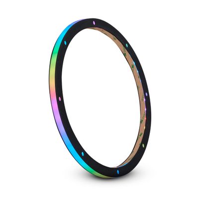 DS18 DLRING10 Digital LED Ring for 10" Loudspeakers, 10-inch Speakers, Sealed Acrylic, Water Resistant, Dynamic Lighting Effects