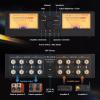 Dual Analog VU Meter, 2-Way Amplifier/Speaker Switch, 2-IN-2-OUT Audio Switcher Box, with DB Panel Display, Support Simultaneous Output, 20 Levels Gain/30 Levels Sensitivity, for Home view 2