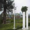 CHZDPP All-Weather Surveillance Pole, Outdoor-Rated Camera Bracket with Lightning Rod & Rebar Cage, Spliced Street Light Pole for Street/Yard/Stores(118in/300cm)