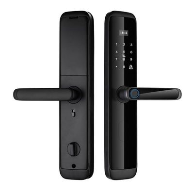Aluminum Alloy Fingerprint Lock Door Lock Smart Lock(D)