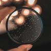 49/58/67/77/82mm The Transparent Clear Radiant FX Filter for Special Effects(67mm) view 3