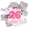 (10pcs) Senior 2026 Sticker Pack, High School Sticker for Graduating Students Waterproof, Graduation Class of 2026 Gift, College Student Decoration for Laptop Vehicles (3 inches) (Senior2, 6x6 inches) view 3